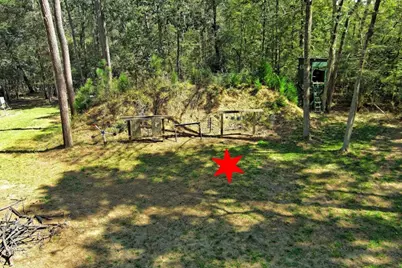 Tbd Bryan Lane, Willis, TX 77378 - Photo 33