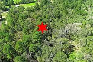 Tbd Bryan Ln, Willis, TX 77378 - Photo 25