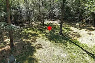 Tbd Bryan Ln, Willis, TX 77378 - Photo 37