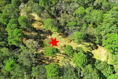 Tbd Bryan Lane, Willis, TX 77378 - Photo 27