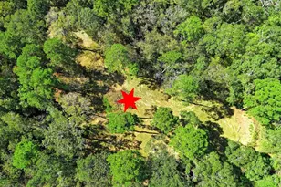 Tbd Bryan Ln, Willis, TX 77378 - Photo 27