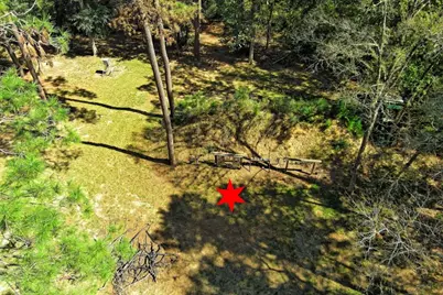 Tbd Bryan Lane, Willis, TX 77378 - Photo 31