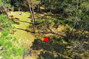 Tbd Bryan Ln, Willis, TX 77378 - Photo 31