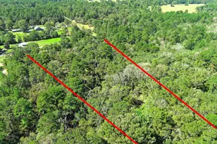 Tbd Bryan Ln, Willis, TX 77378 - Photo 23