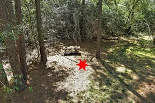 Tbd Bryan Ln, Willis, TX 77378 - Photo 43