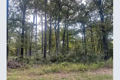 Tbd Meridian Lot 22, Livingston, TX 77351 - Photo 5