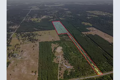 7443 County Road 302, Plantersville, TX 77363 - Photo 13