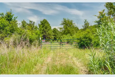 7443 County Road 302, Plantersville, TX 77363 - Photo 3