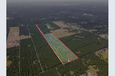 7443 County Road 302, Plantersville, TX 77363 - Photo 19