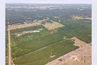 7443 County Road 302, Plantersville, TX 77363 - Photo 9