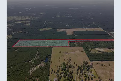 7443 County Road 302, Plantersville, TX 77363 - Photo 15