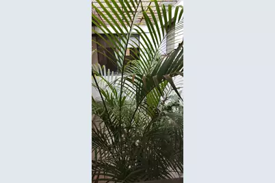 Calle 2A No. 2-06 Torre Inversiones Normandia Street #402, Almont, CO  - Photo 17