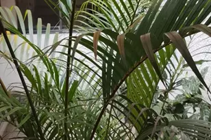 Calle 2A N 2-06 Torre Inversiones Normandia St, Almont, CO - Photo 17