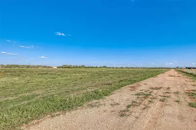 00000 McFarlane Road, Beasley, TX 77417 - Photo 21