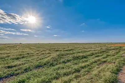 00000 McFarlane Road, Beasley, TX 77417 - Photo 37