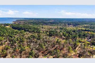 Lot 83 Lake Oaks Circle, Coldspring, TX 77331 - Photo 7