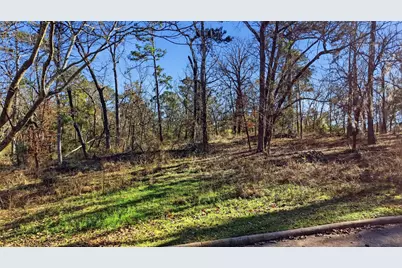 Lot 83 Lake Oaks Circle, Coldspring, TX 77331 - Photo 25