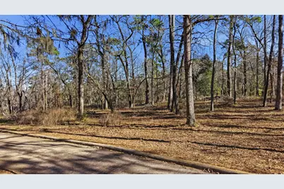 Lot 83 Lake Oaks Circle, Coldspring, TX 77331 - Photo 5