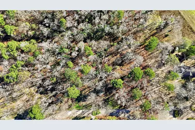 Lot 83 Lake Oaks Circle, Coldspring, TX 77331 - Photo 13