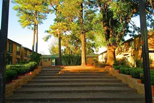 3629 N Macgregor Way, Houston, TX 77004 - Photo 1