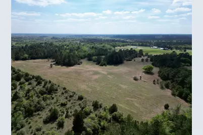 Tbd County Road 408, Navasota, TX 77868 - Photo 23