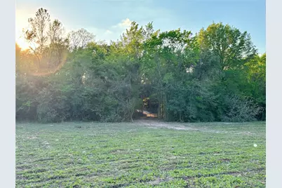 Tbd County Road 408, Navasota, TX 77868 - Photo 3