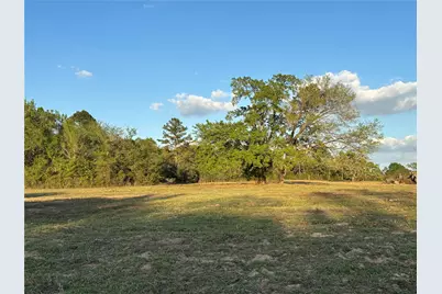 Tbd County Road 408, Navasota, TX 77868 - Photo 13
