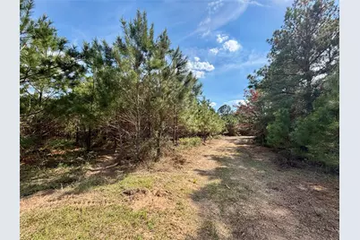 Tbd County Road 408, Navasota, TX 77868 - Photo 9