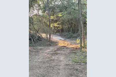 Tbd County Road 408, Navasota, TX 77868 - Photo 5