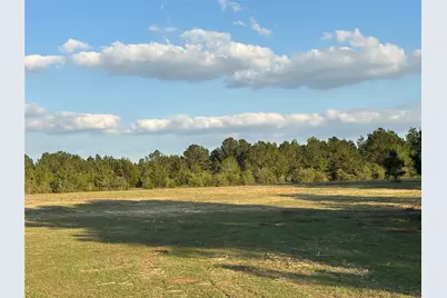 Tbd County Road 408, Navasota, TX 77868 - Photo 5