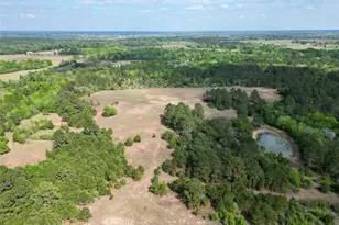 Tbd County Road 408, Navasota, TX 77868 - Photo 1
