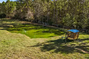 245 Alabama Point, Livingston, TX 77351 - Photo 37