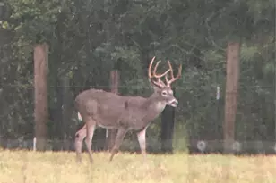 245 Alabama Point, Livingston, TX 77351 - Photo 47