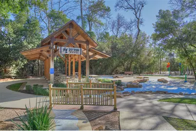 340 Water Tupelo Drive, Montgomery, TX 77316 - Photo 43