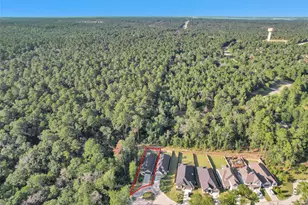 340 Water Tupelo Dr, Montgomery, TX 77316 - Photo 5