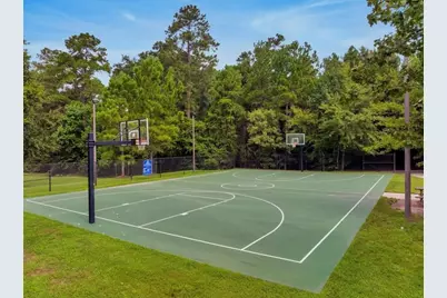 340 Water Tupelo Drive, Montgomery, TX 77316 - Photo 47