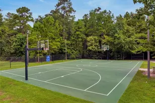 340 Water Tupelo Dr, Montgomery, TX 77316 - Photo 47