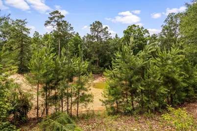 23506 High Meadow Estates Drive, Montgomery, TX 77316 - Photo 5