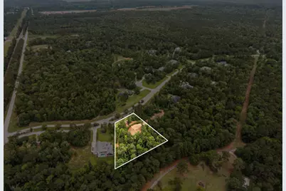 23506 High Meadow Estates Drive, Montgomery, TX 77316 - Photo 3