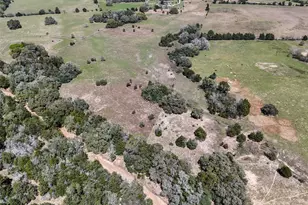 Tr 2 Reitz Quinn Rd, Cat Spring, TX 78933 - Photo 3