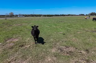 Tr 2 Reitz Quinn Rd, Cat Spring, TX 78933 - Photo 7