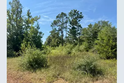 Tract 4 Private Road 8385 Street, Spurger, TX 77660 - Photo 5
