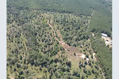 Tract 4 Private Road 8385 Street, Spurger, TX 77660 - Photo 3