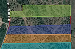 Tract 4 Private Road 8385 St, Spurger, TX 77660 - Photo 1