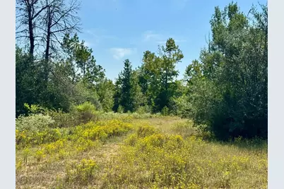 Tract 4 Private Road 8385 Street, Spurger, TX 77660 - Photo 9