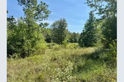 Tract 4 Private Road 8385 Street, Spurger, TX 77660 - Photo 7