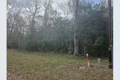 0 Winding Creek Drive, Shepherd, TX 77371 - Photo 1