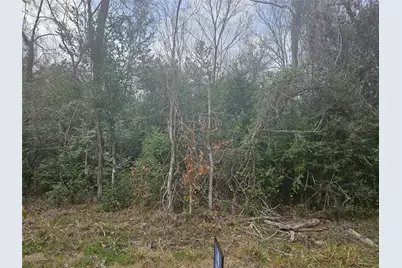 0 Winding Creek Drive, Shepherd, TX 77371 - Photo 5