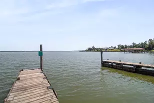 271 St Thomas Dr, Point Blank, TX 77364 - Photo 31