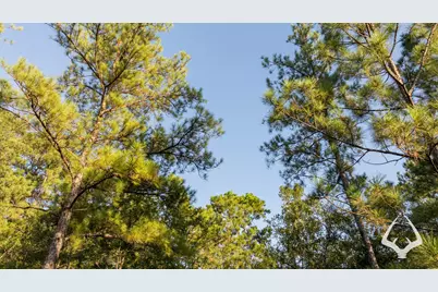 00 Fm 363, Newton, TX 75966 - Photo 17